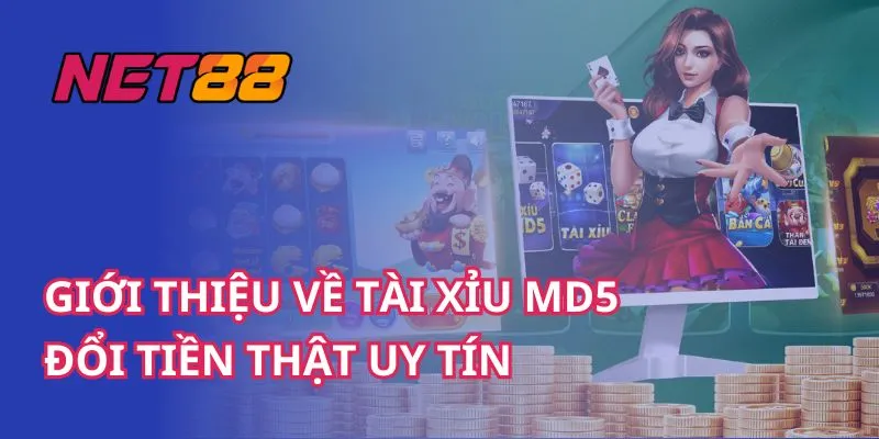 Net88 - Bí Mật Sân Chơi Cá Cược Đỉnh Cao Châu Á